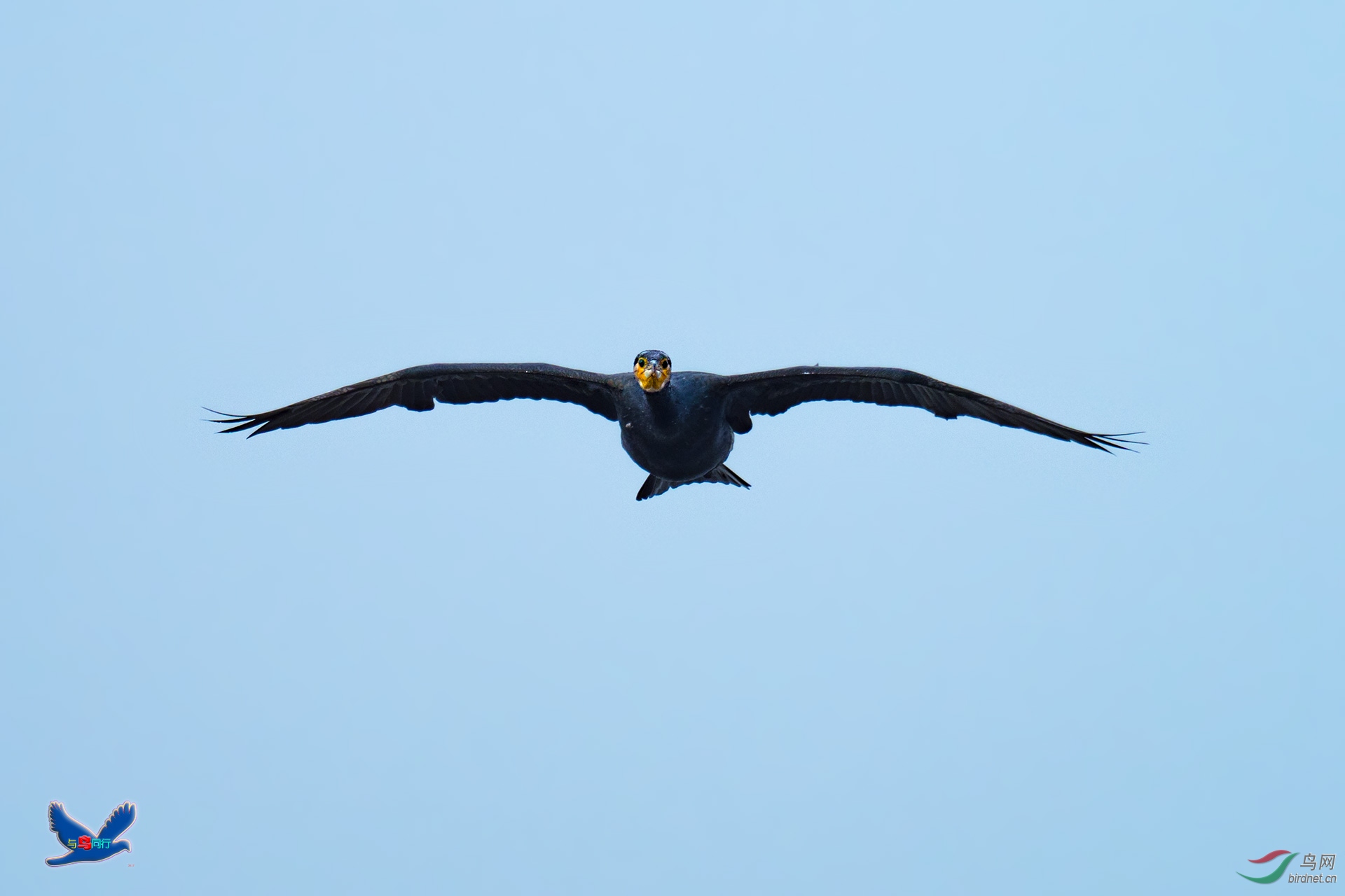 EM123797-ac.jpg