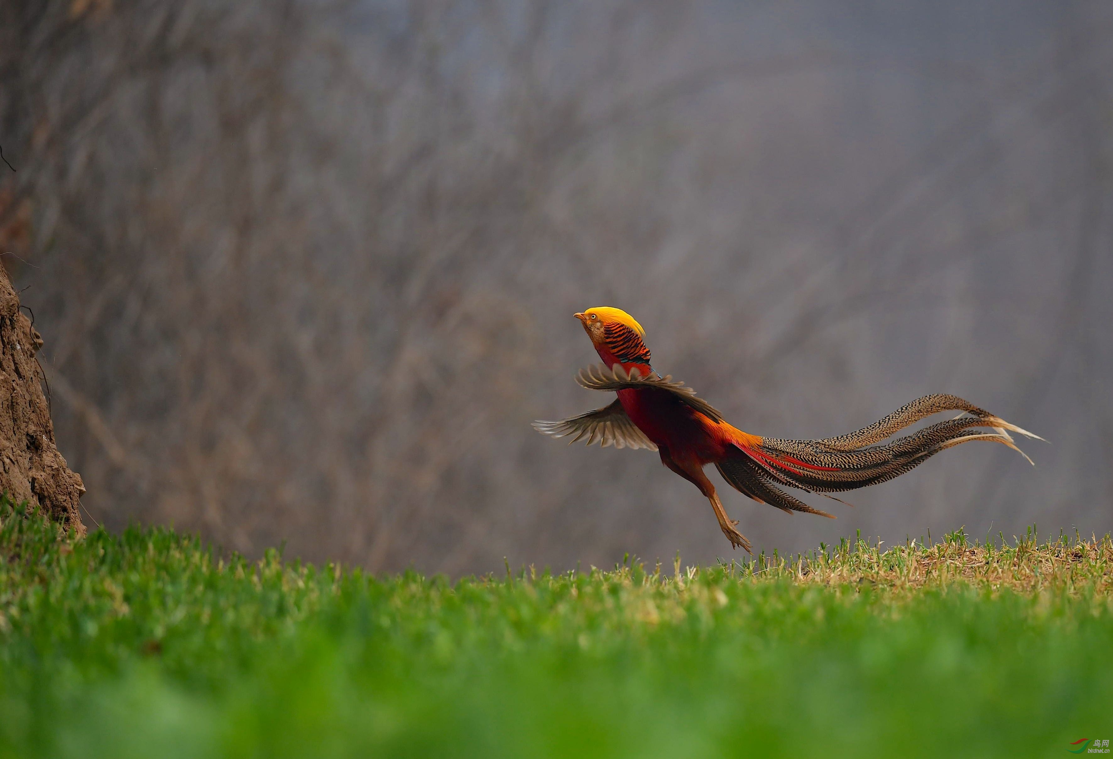 DSC_3653_����2.jpg