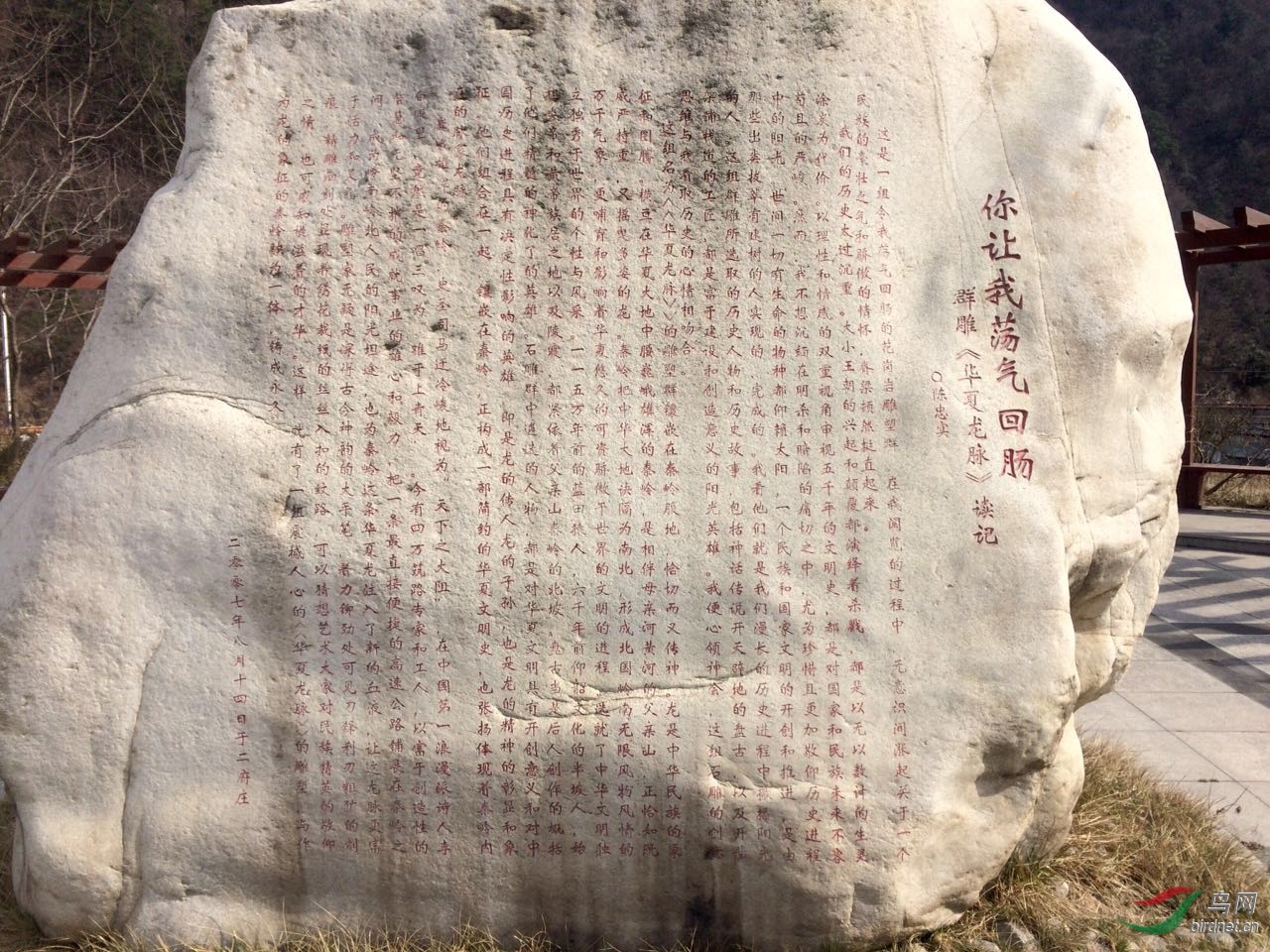 1484411138.jpg