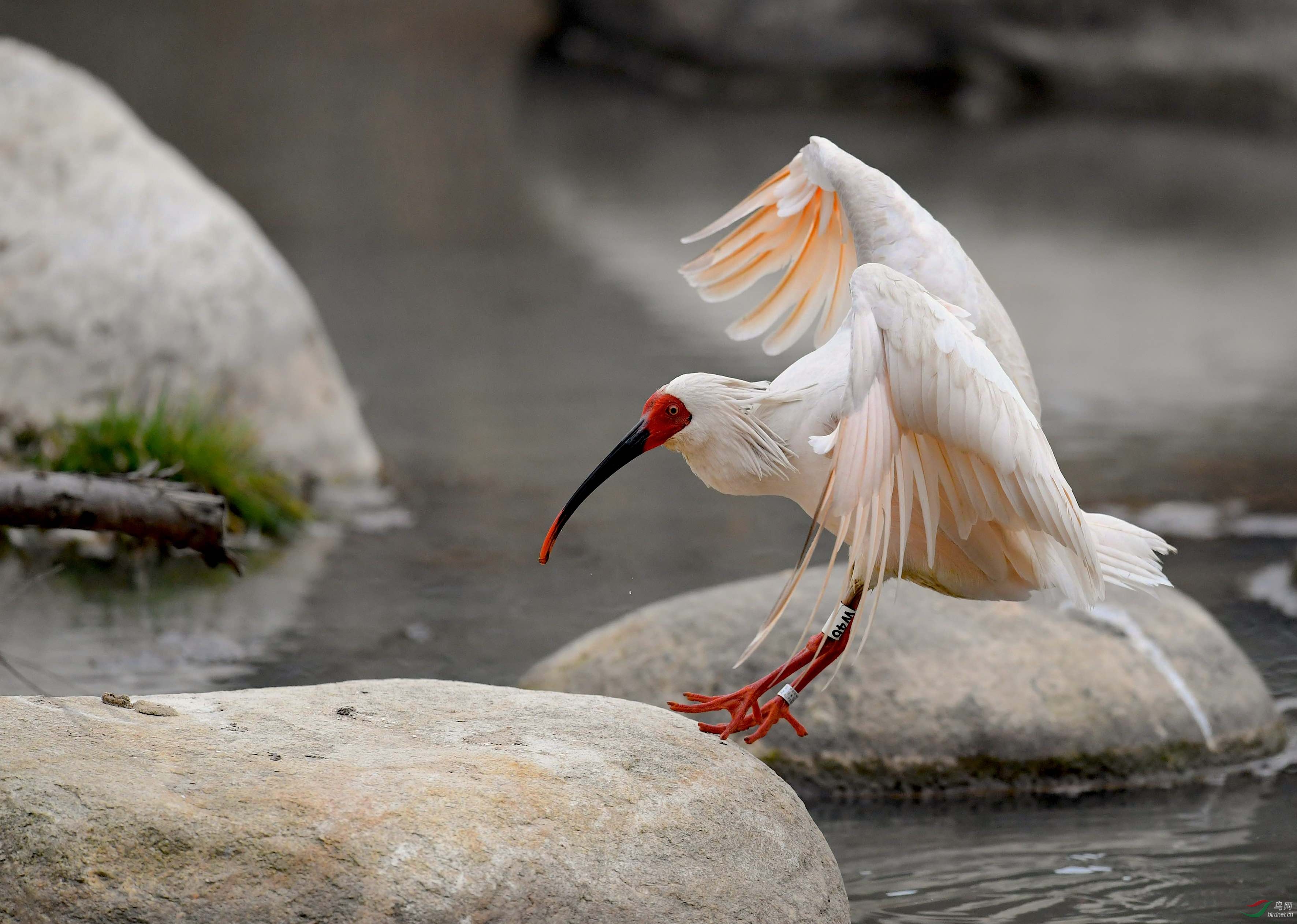 DSC_5379_����1.jpg