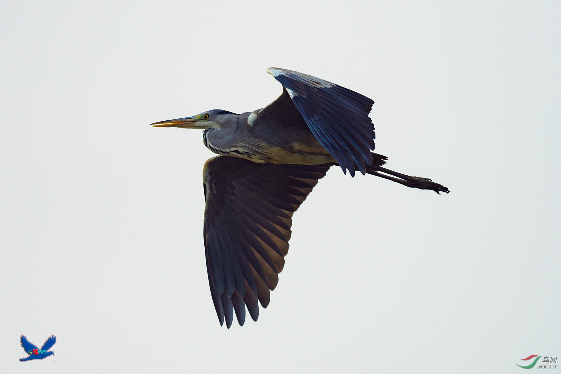 EM127547-ac.jpg