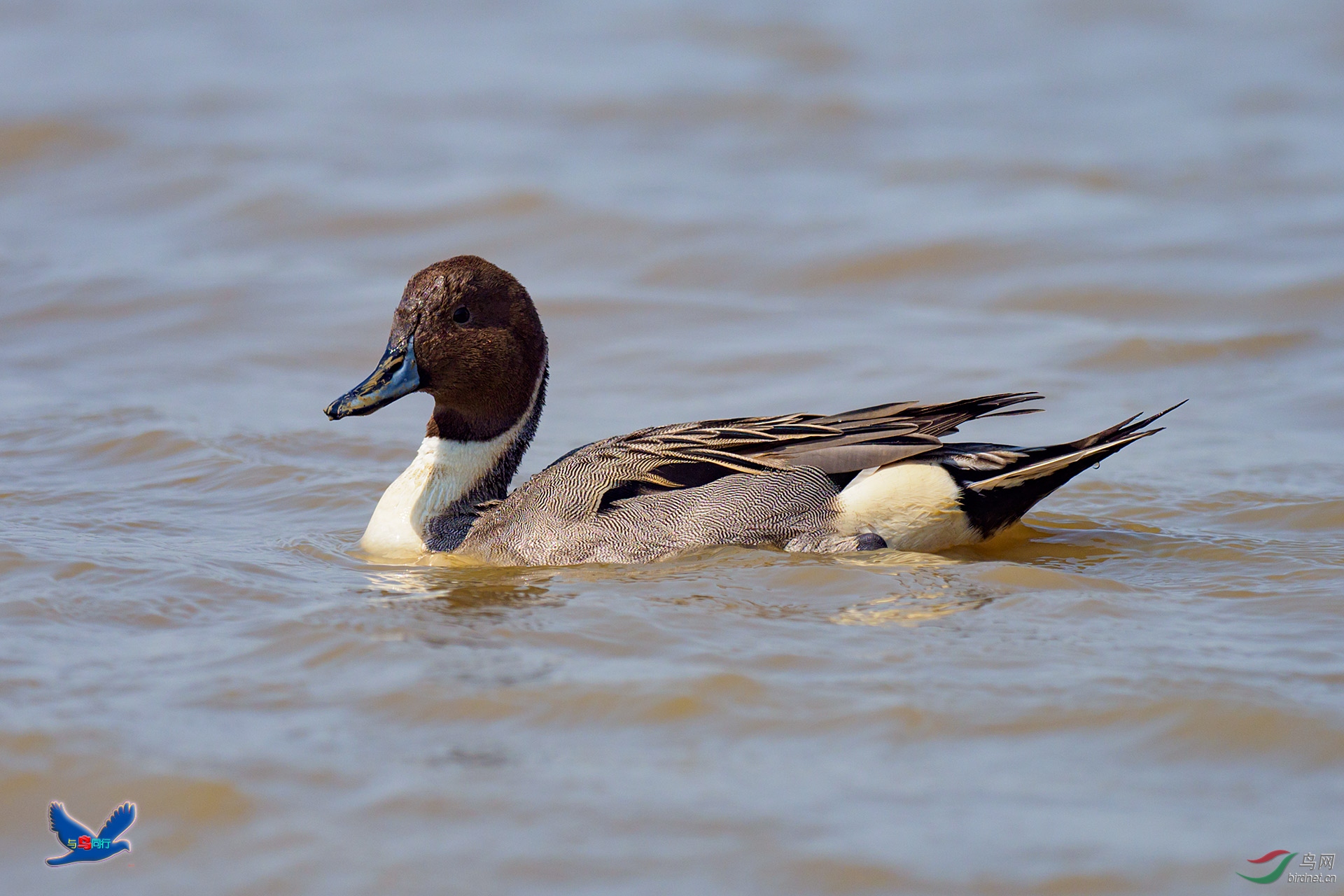 EM120713-ac.jpg