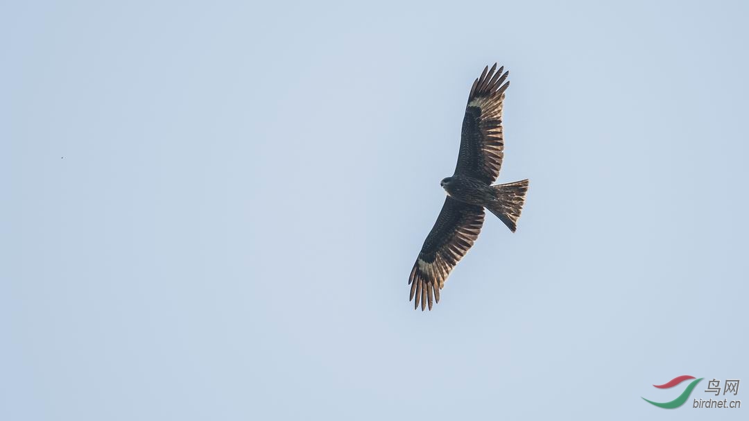 ������С DSC_1790-1.jpg