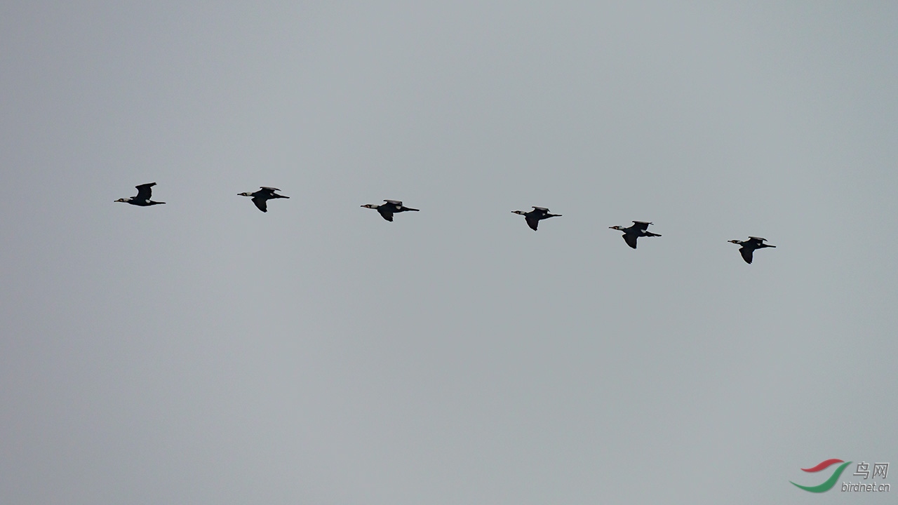 EM129553-ac.jpg