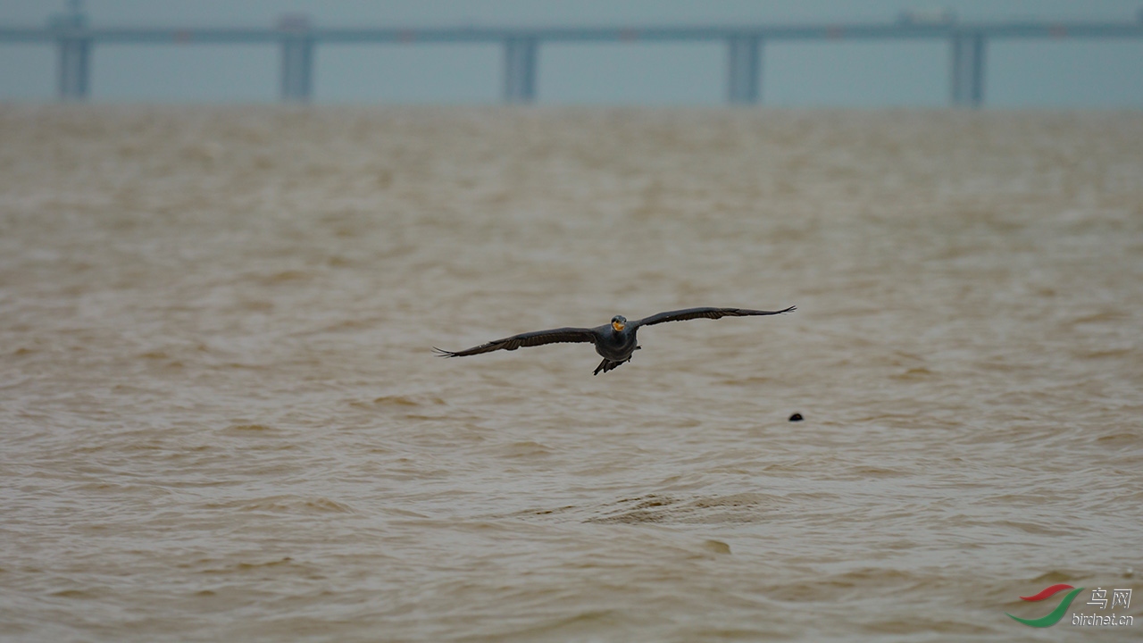 EM129543-ac.jpg