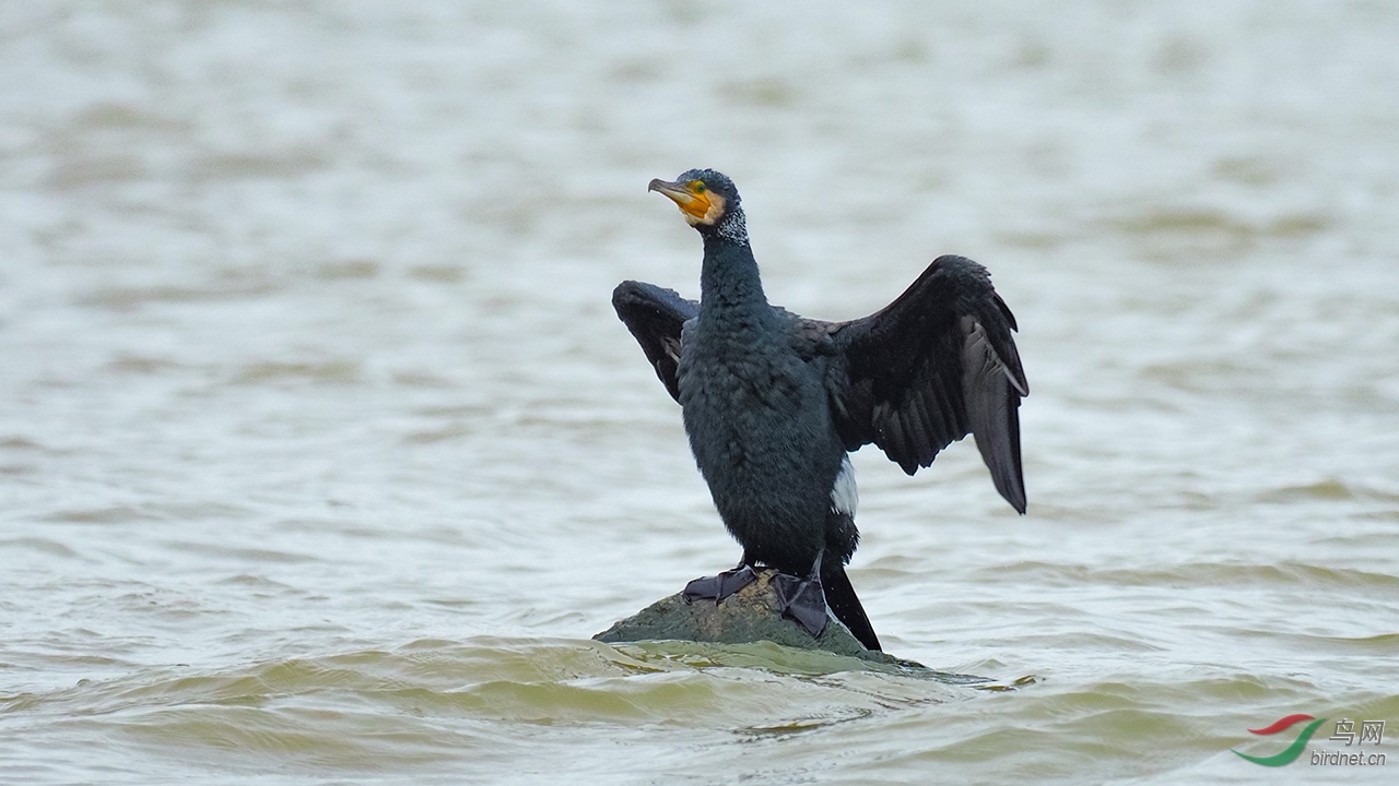EM120123-jc.jpg
