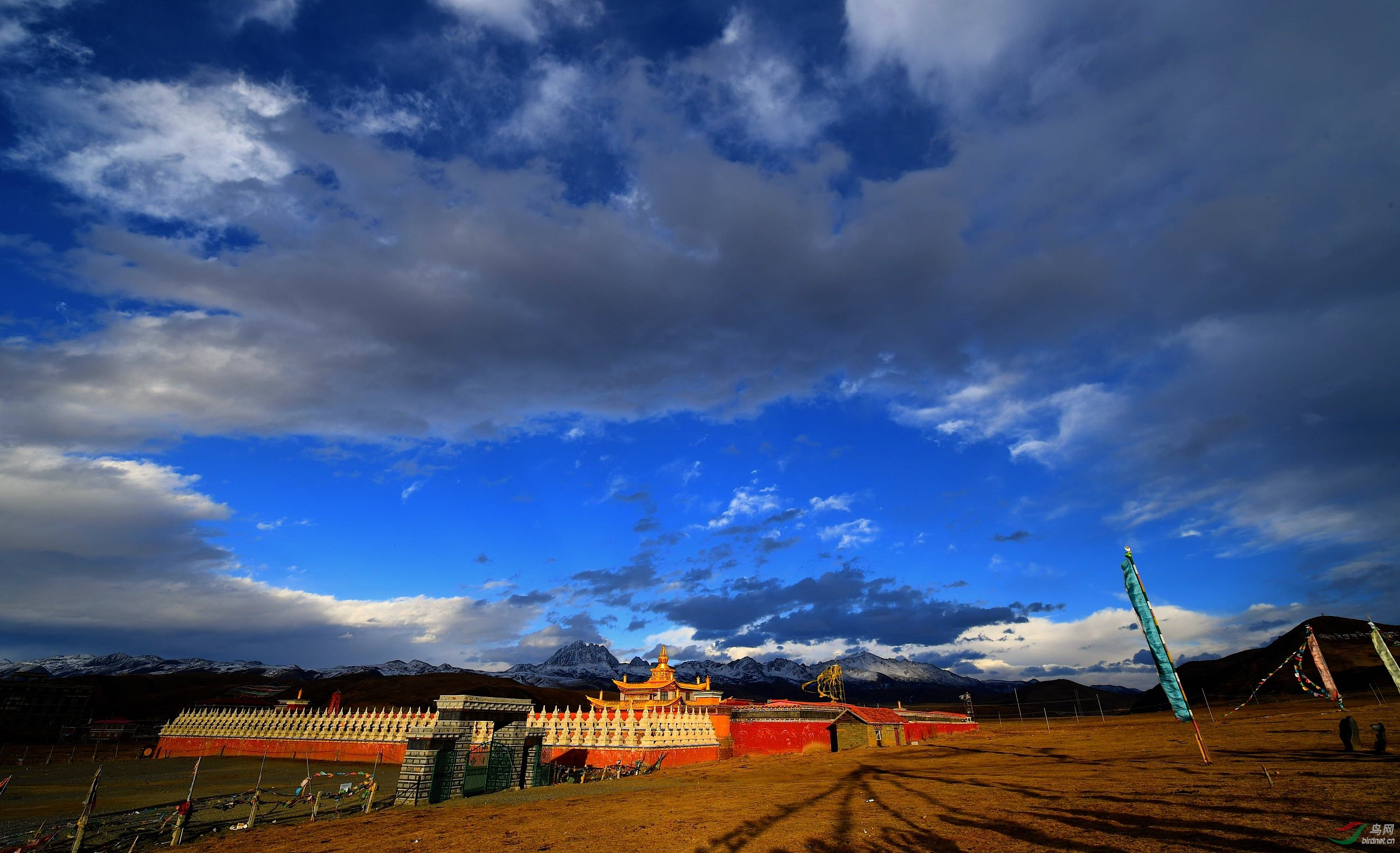 DSC_9935_����1.jpg