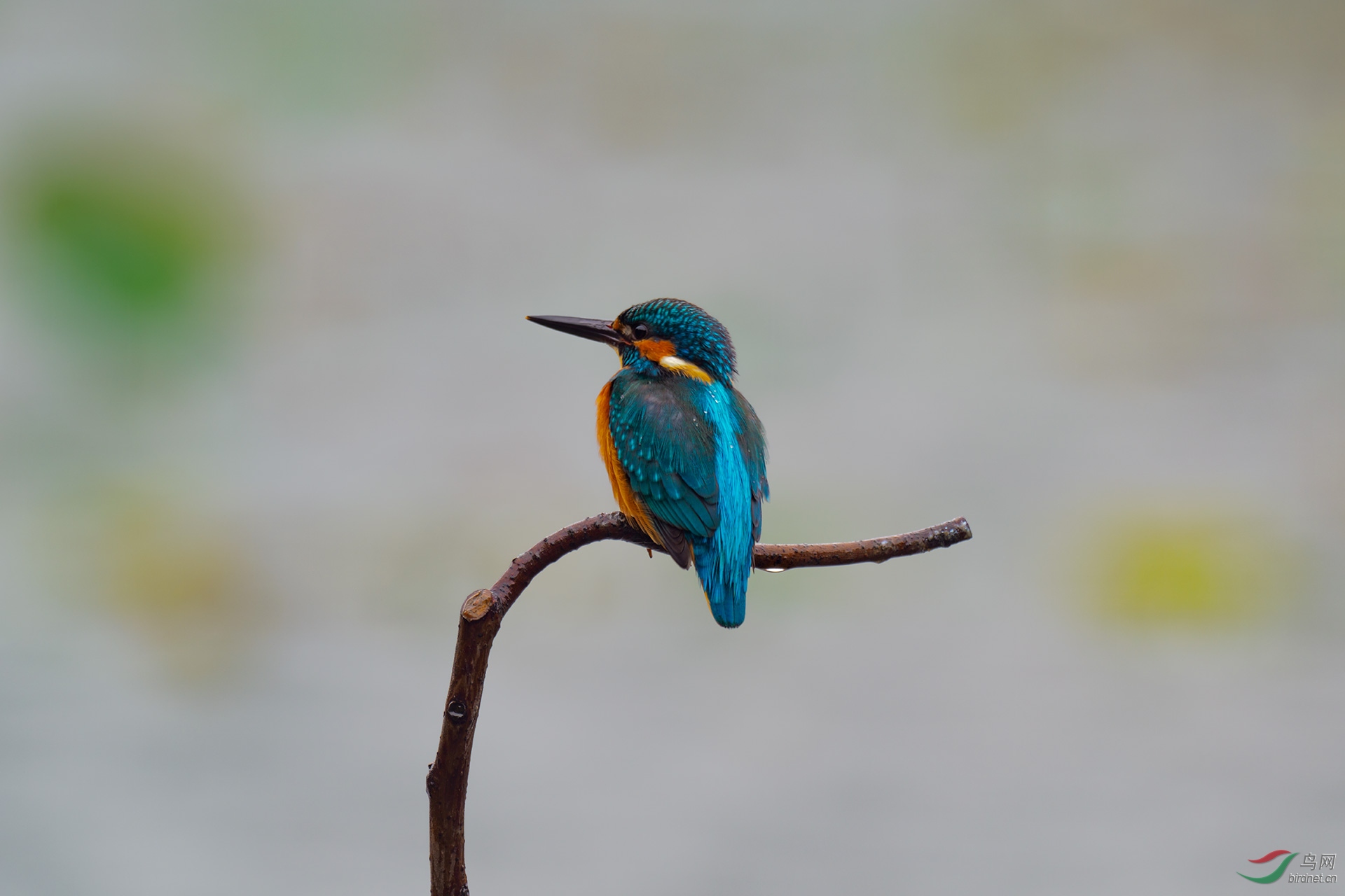 EM121515-ac.jpg