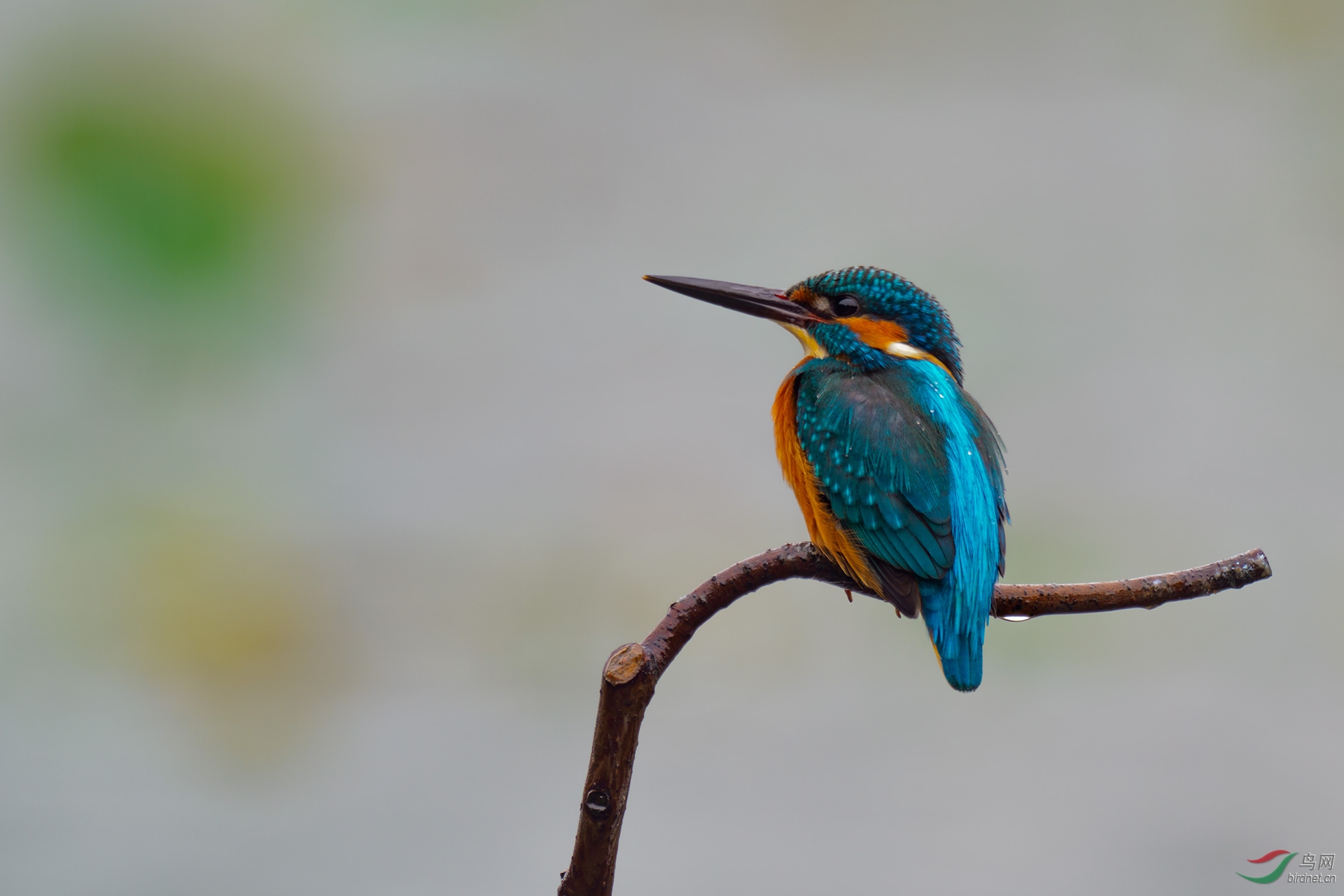 EM121516-ac.jpg