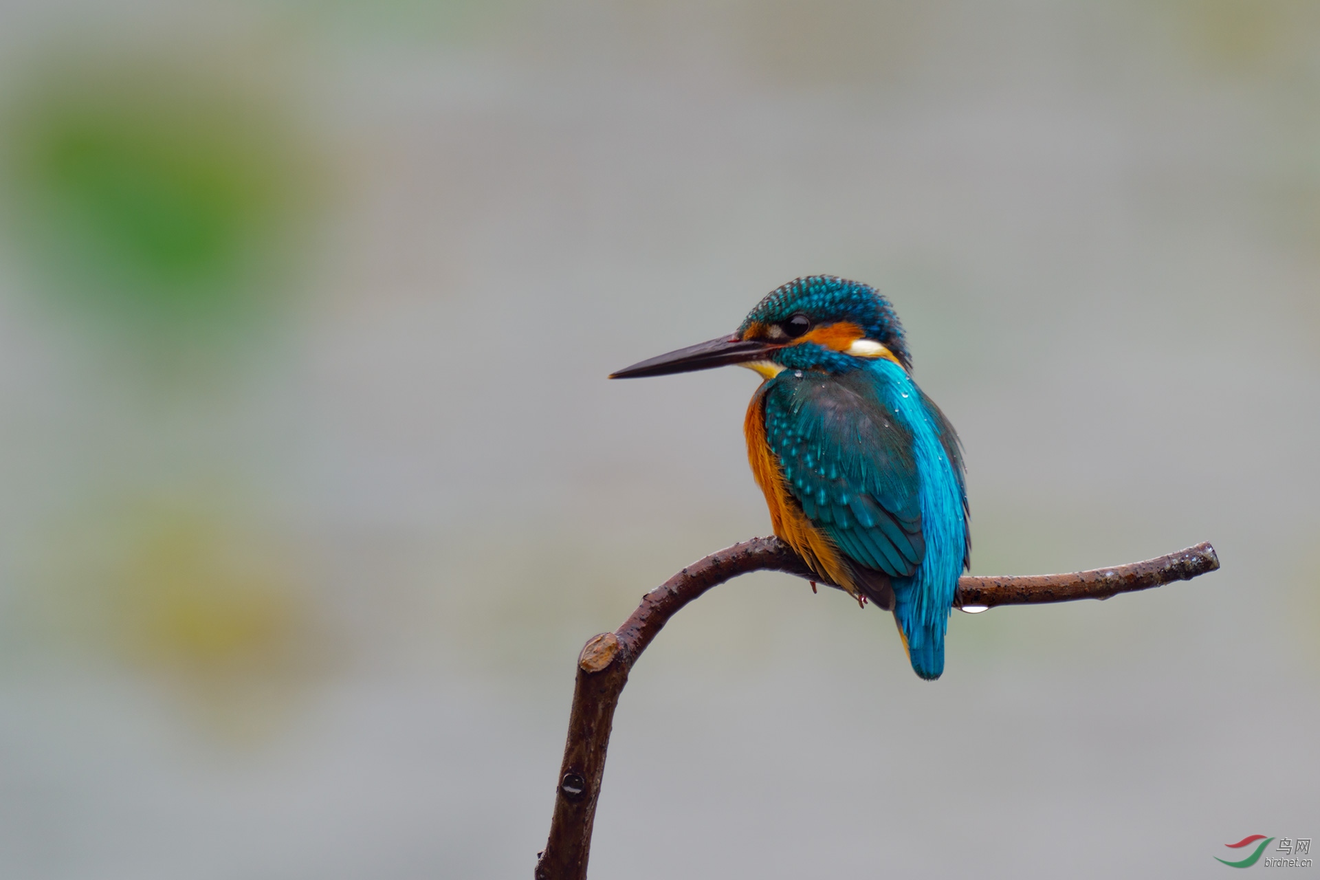 EM121518-ac.jpg