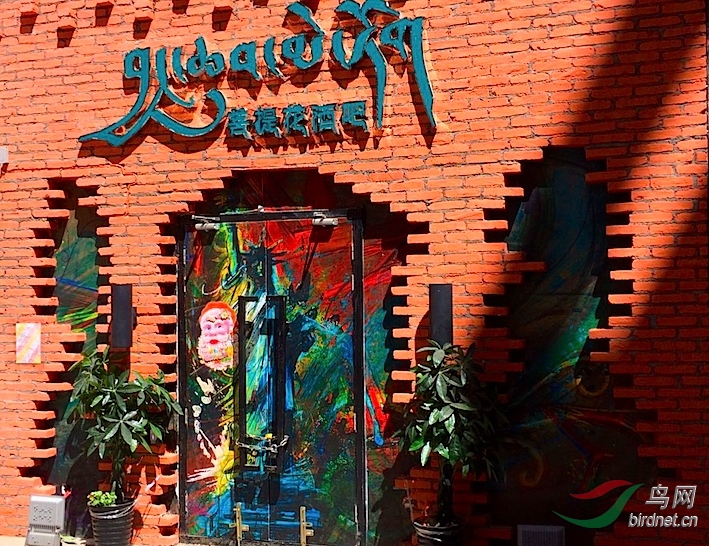 17467322151.jpg