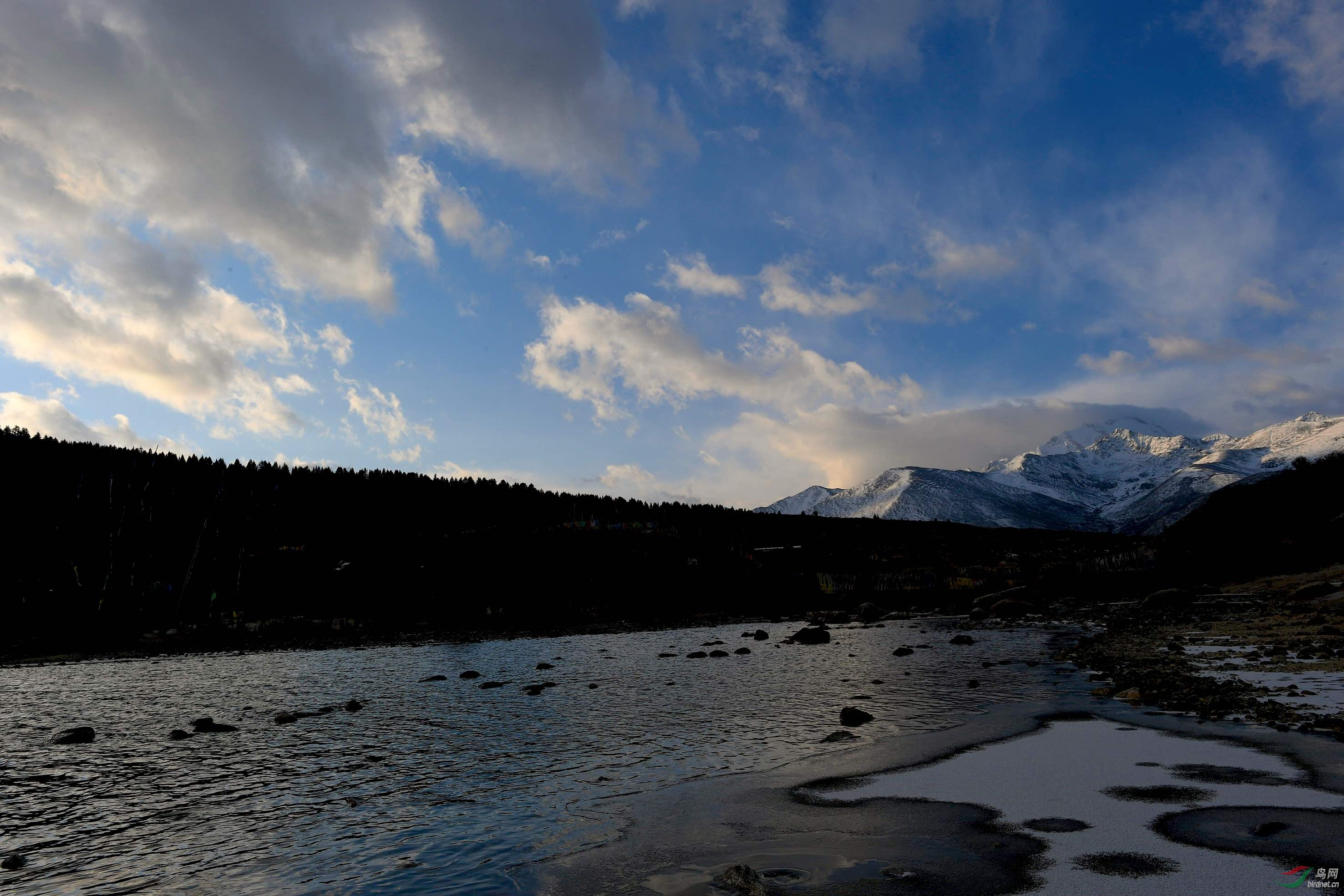 DSC_4482_����1.jpg