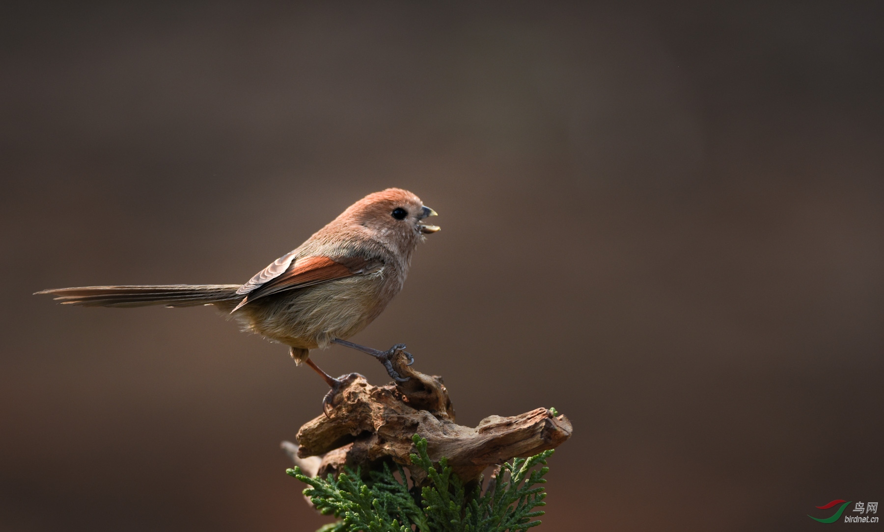 ����.JPG