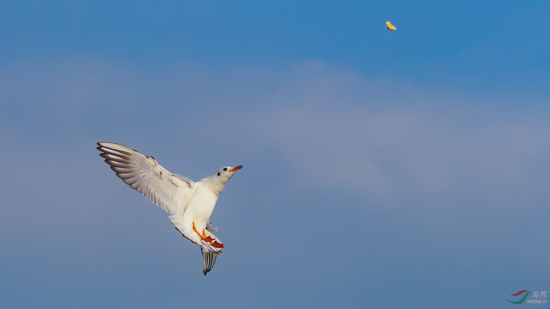 EM122011-ac.jpg