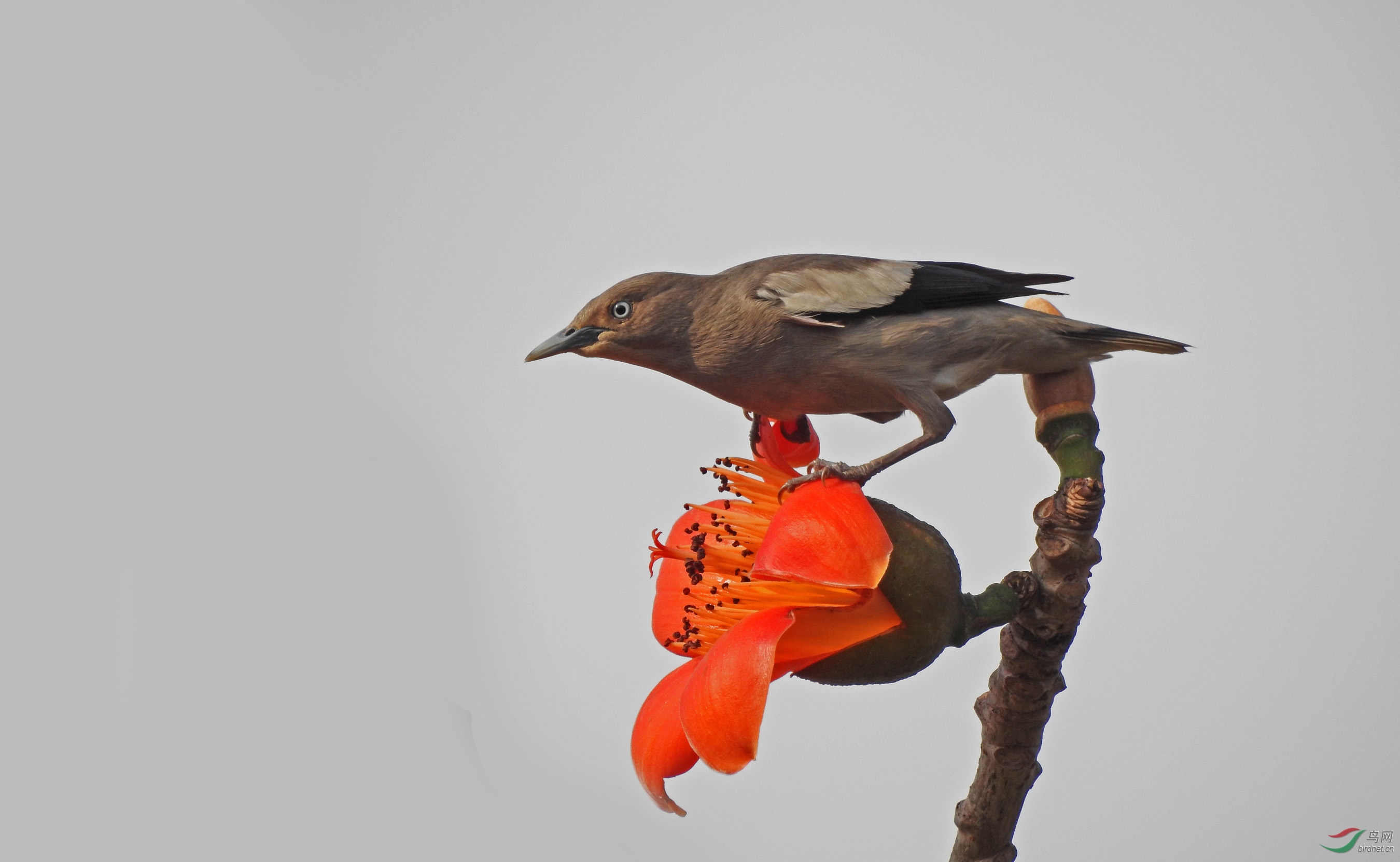 DSCN4541.jpg