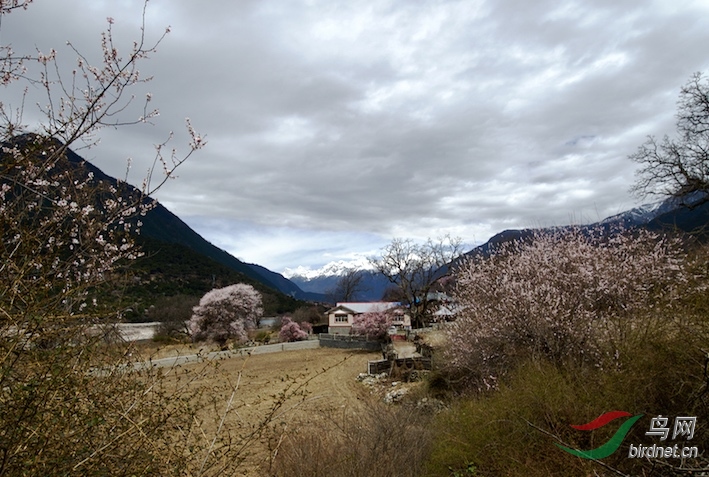 DOS_76561.jpg