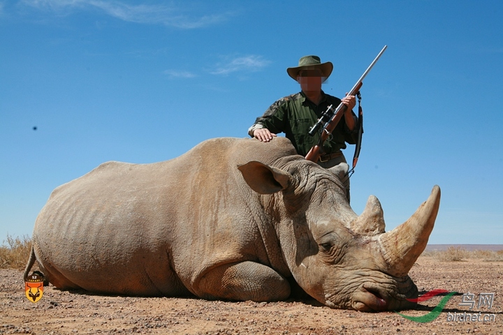 这个贴我希望大家一起努力打击这些盗猎者