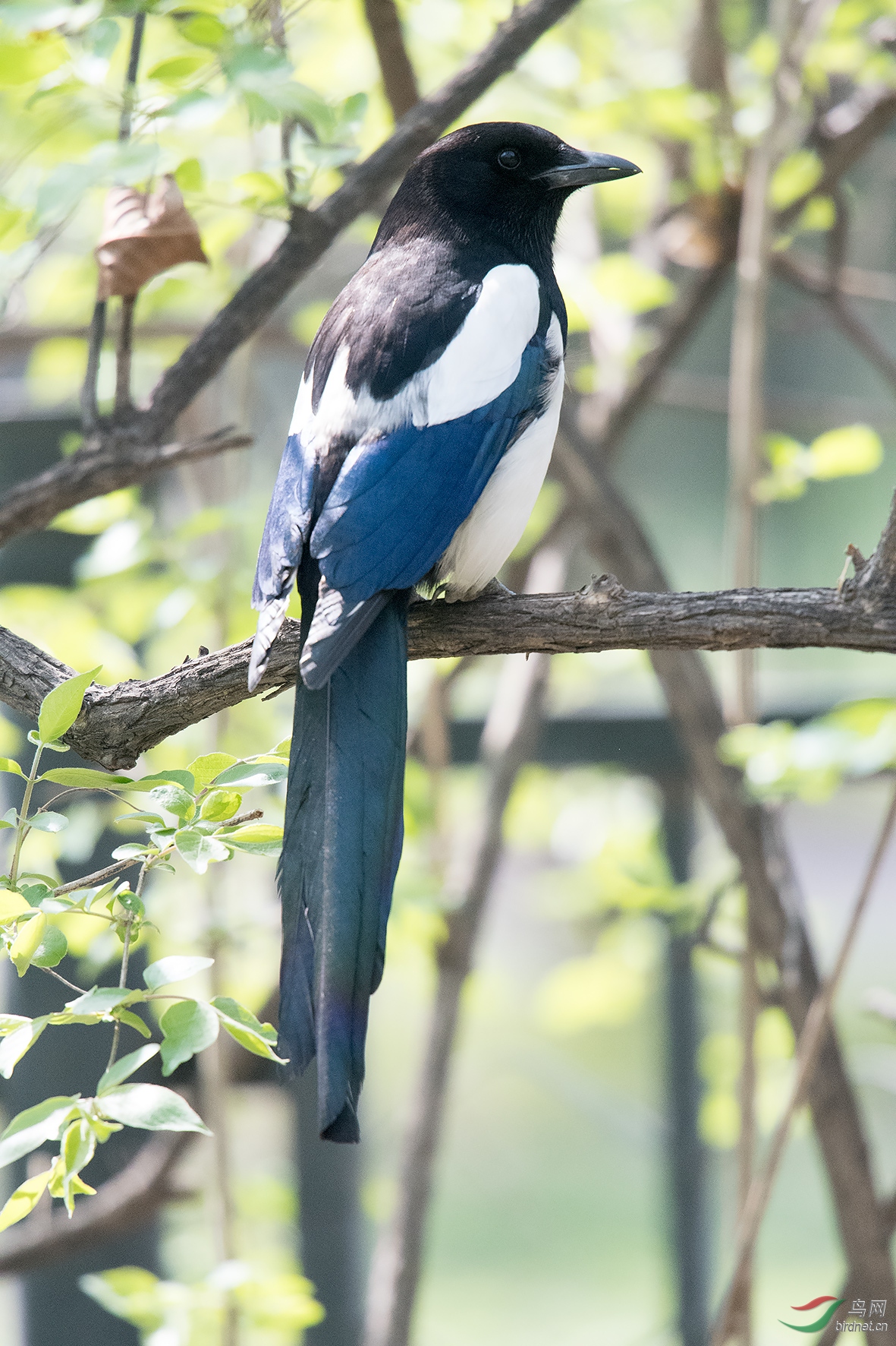 DSC_3534.jpg