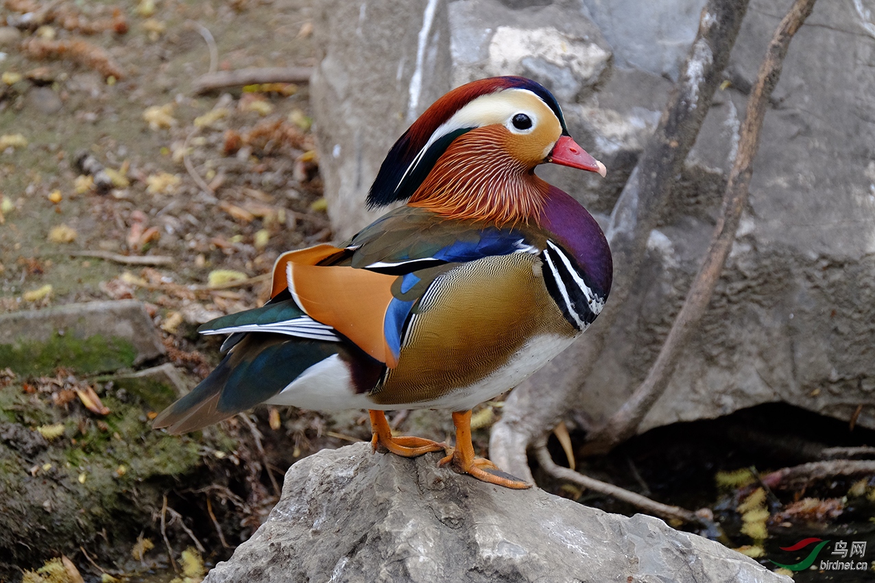 DSCF3614.jpg