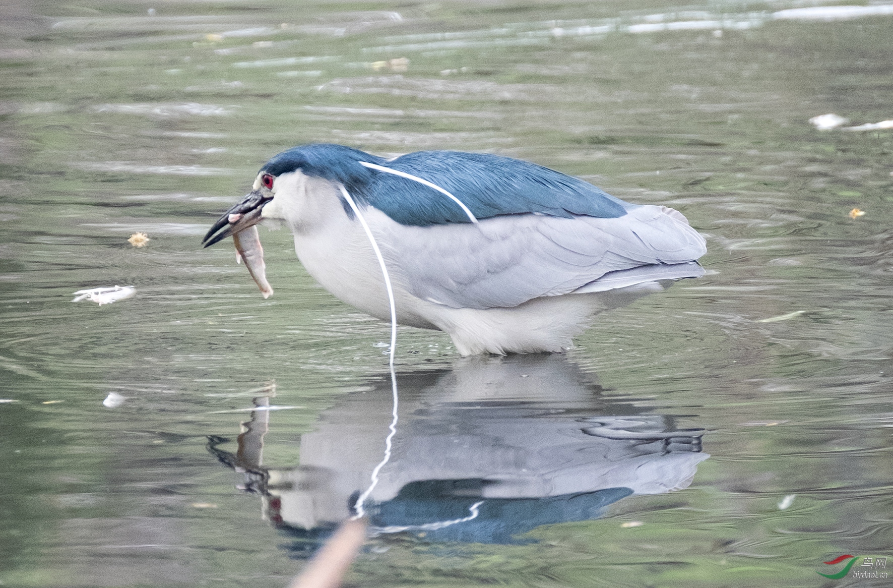 DSCF3581.jpg