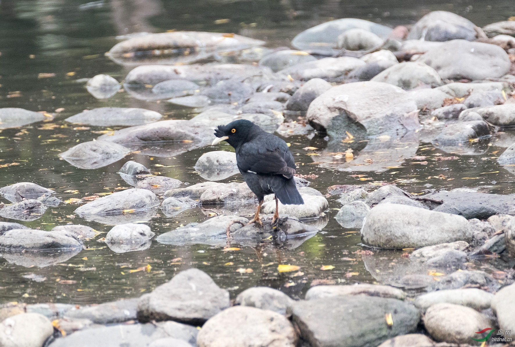 DSCF3589.jpg