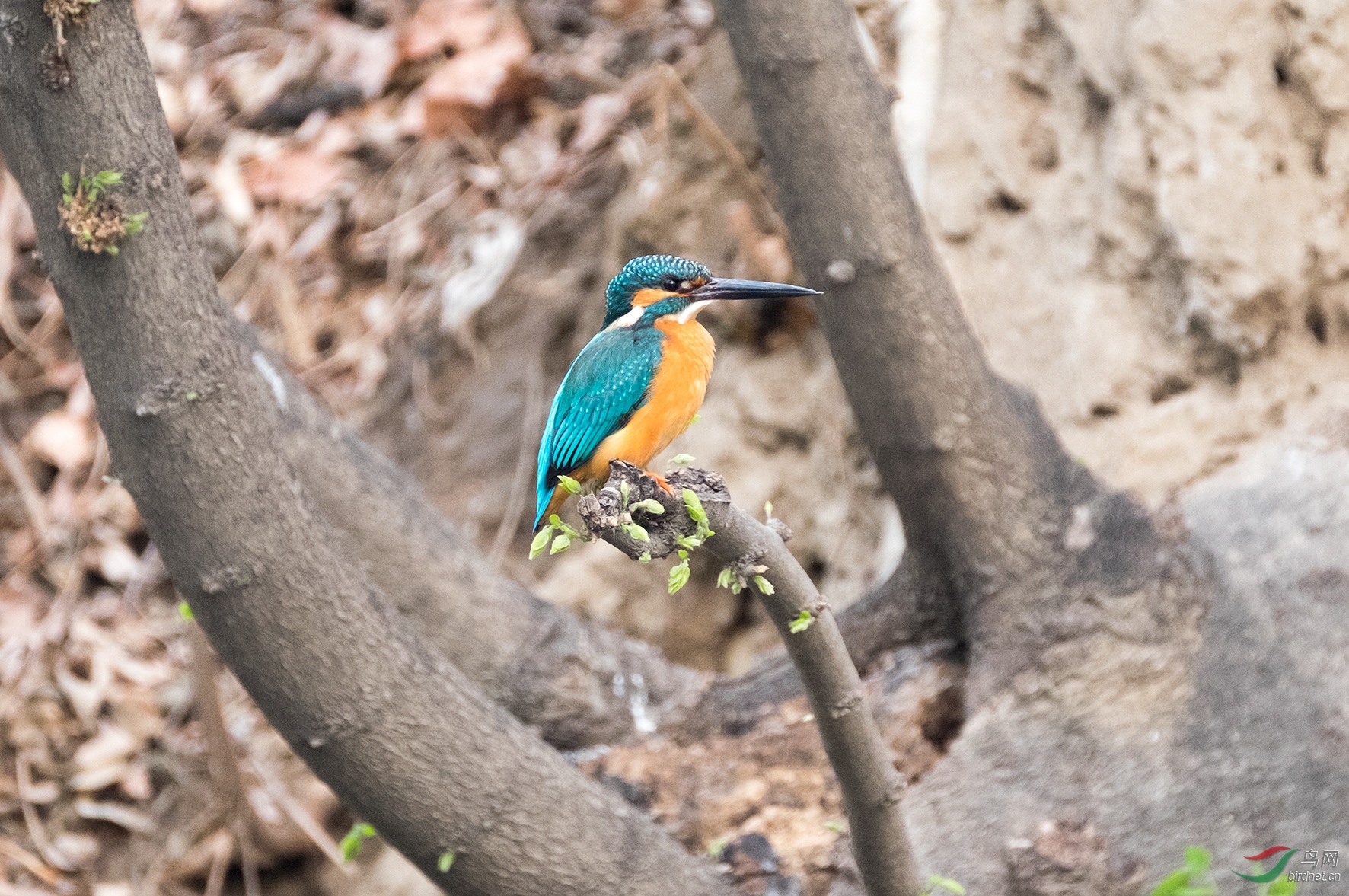 DSCF3406.jpg