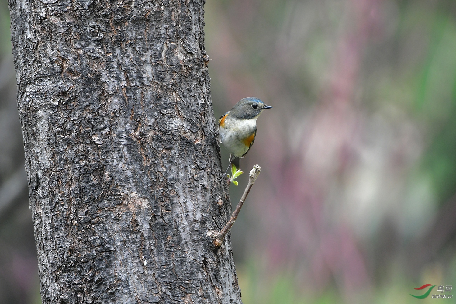 DSC_3868.jpg
