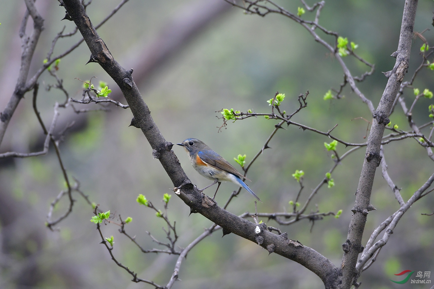 DSC_3835.jpg