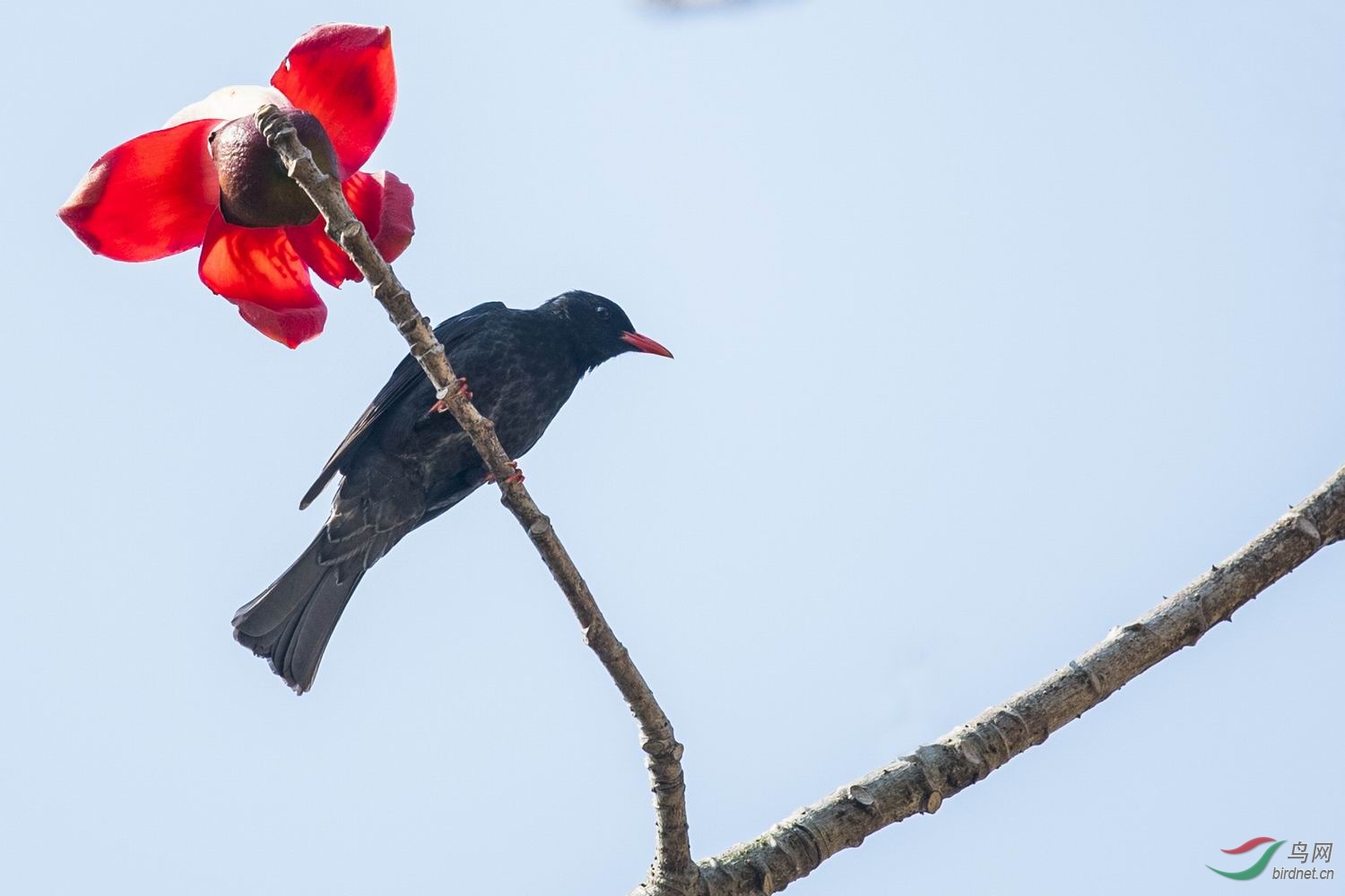 ������С DSC_2697-1.jpg