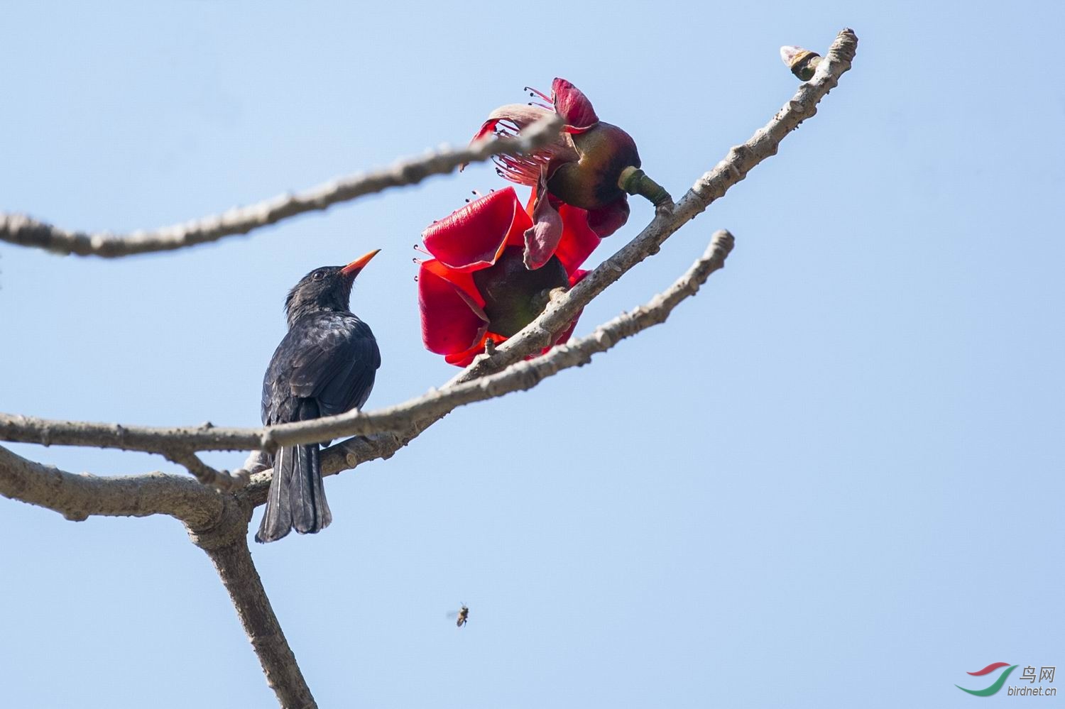 ������С DSC_2711-1.jpg