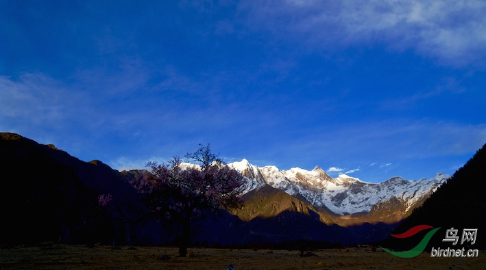 DOS_15871.jpg