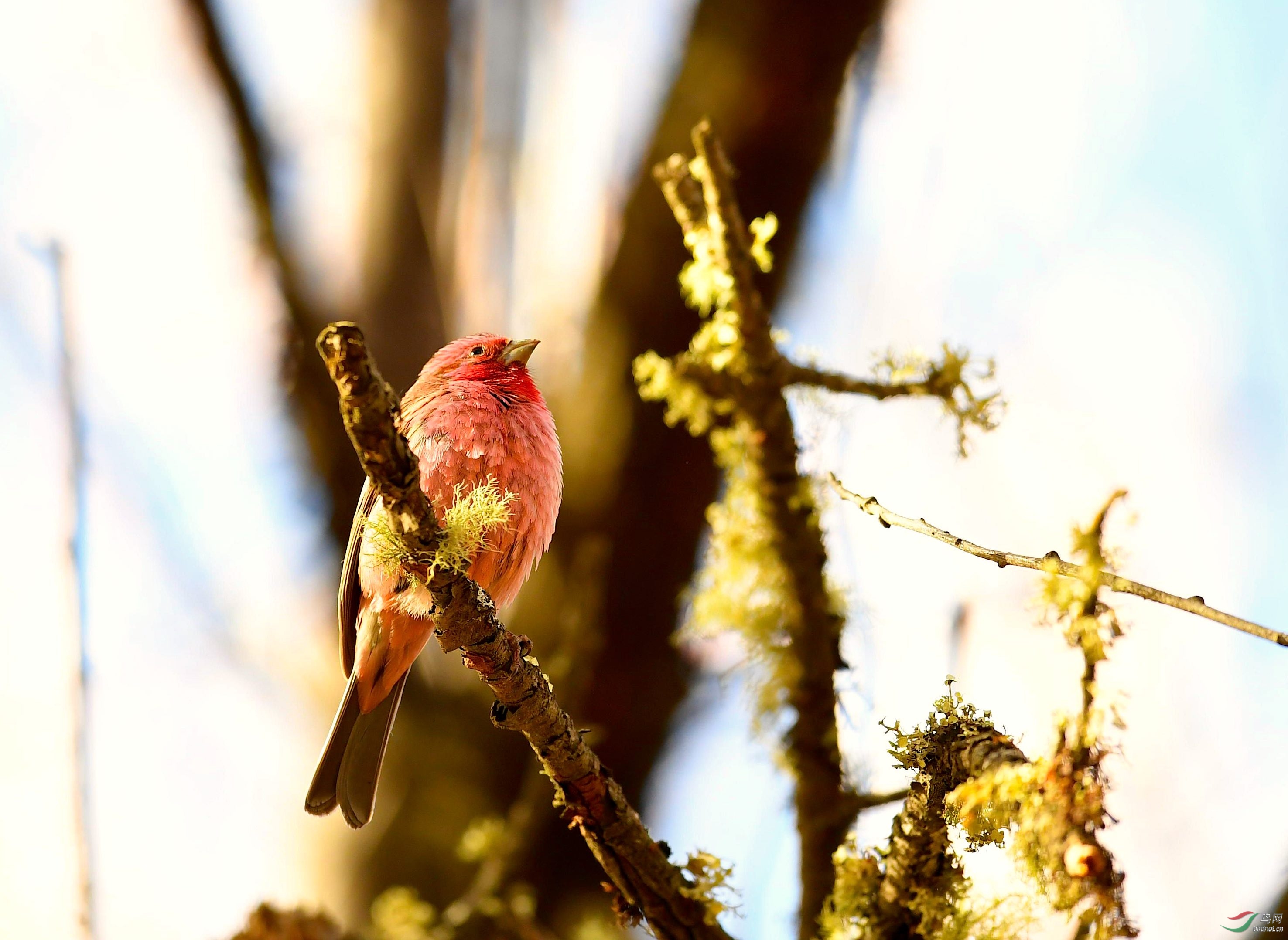 DSC_5017_����1.jpg