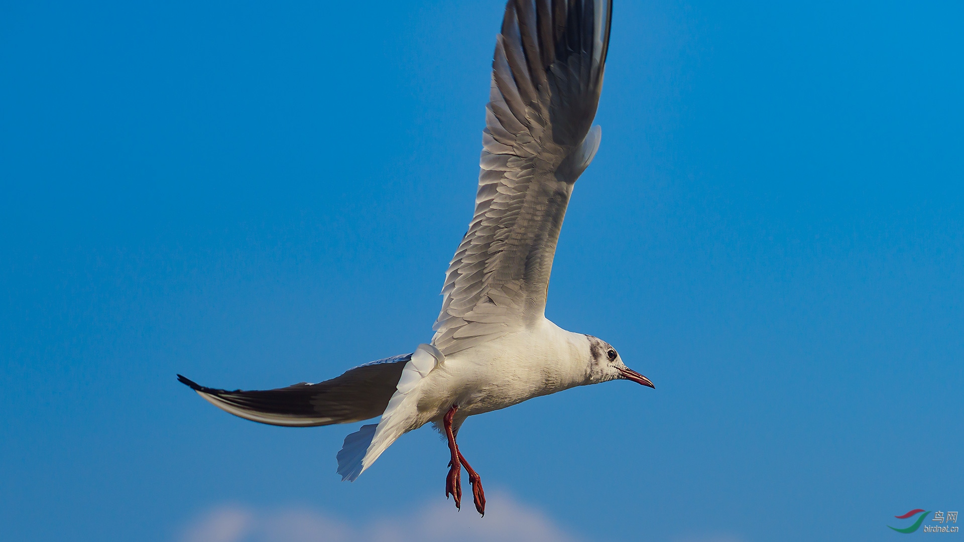 EM122056-ac.jpg