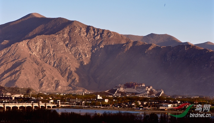 DOS_46821.jpg