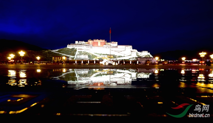 DOS_50901.jpg