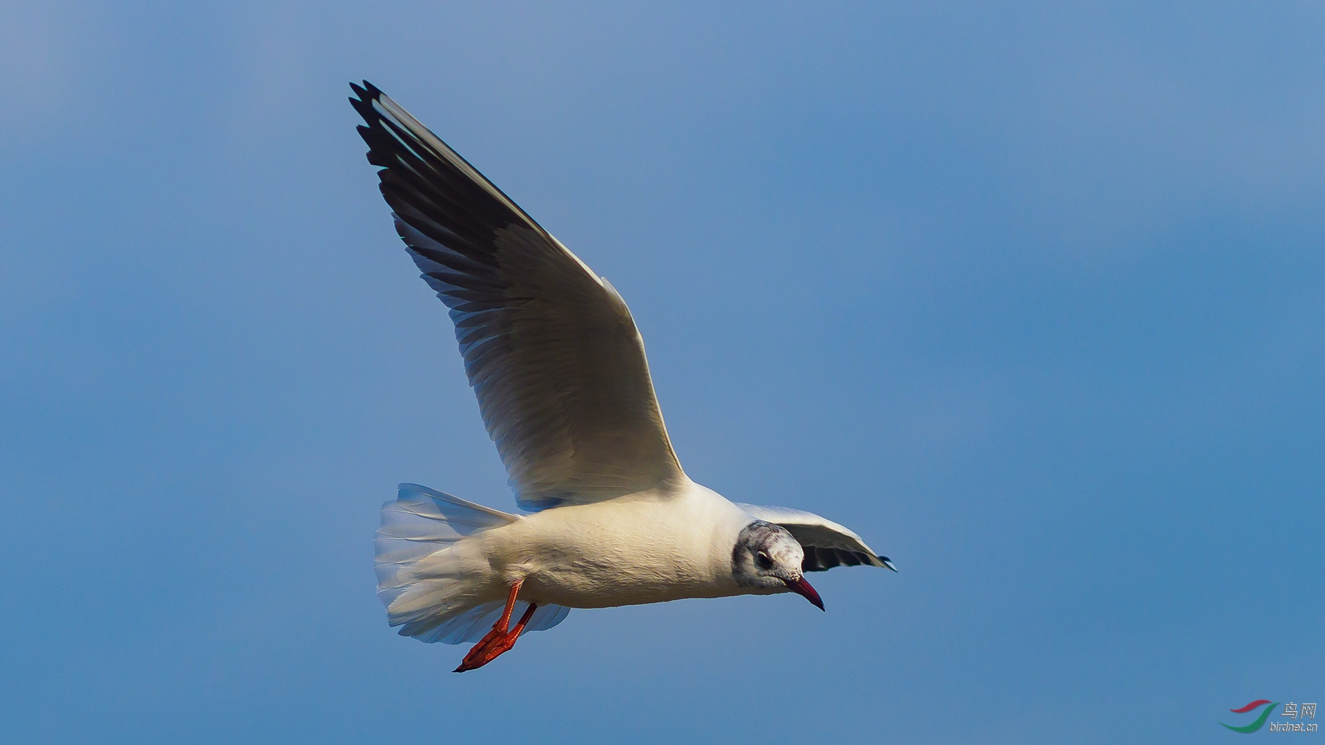 EM122135-ac.jpg