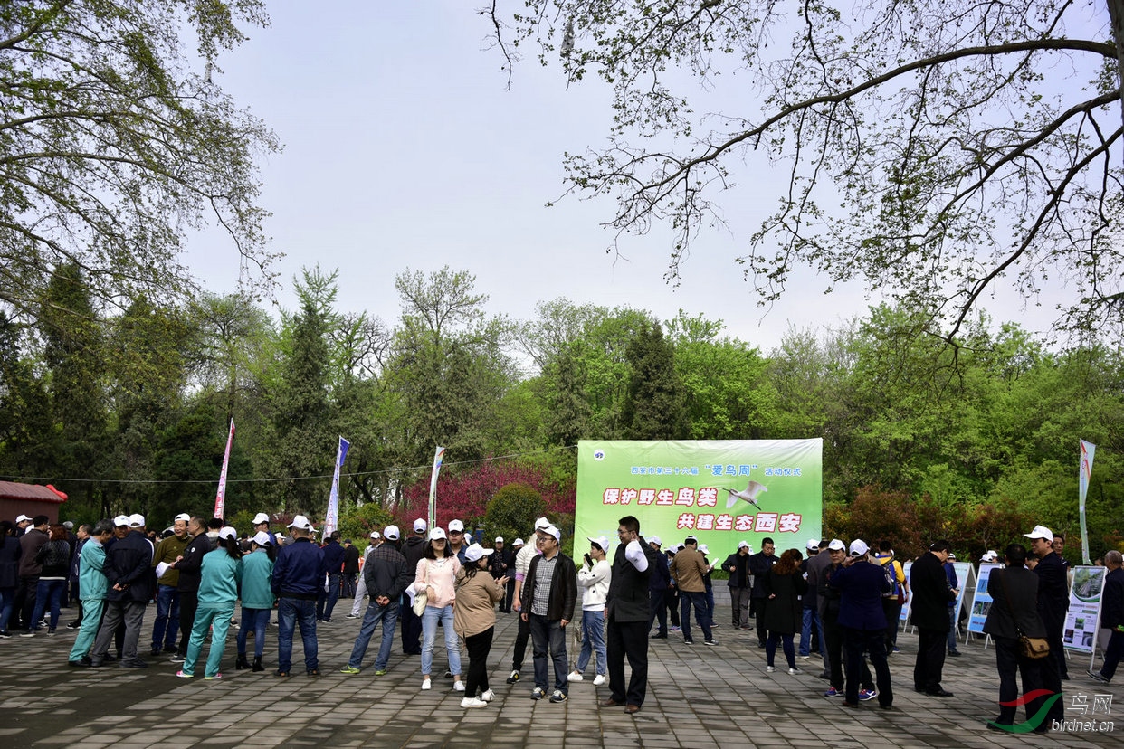 _DSC3933_����_����.JPG