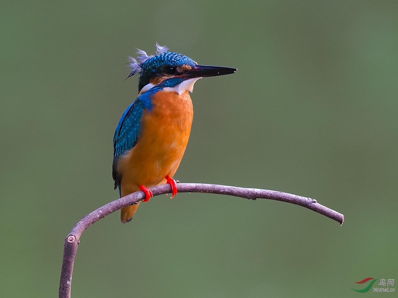 EM265979-c.jpg