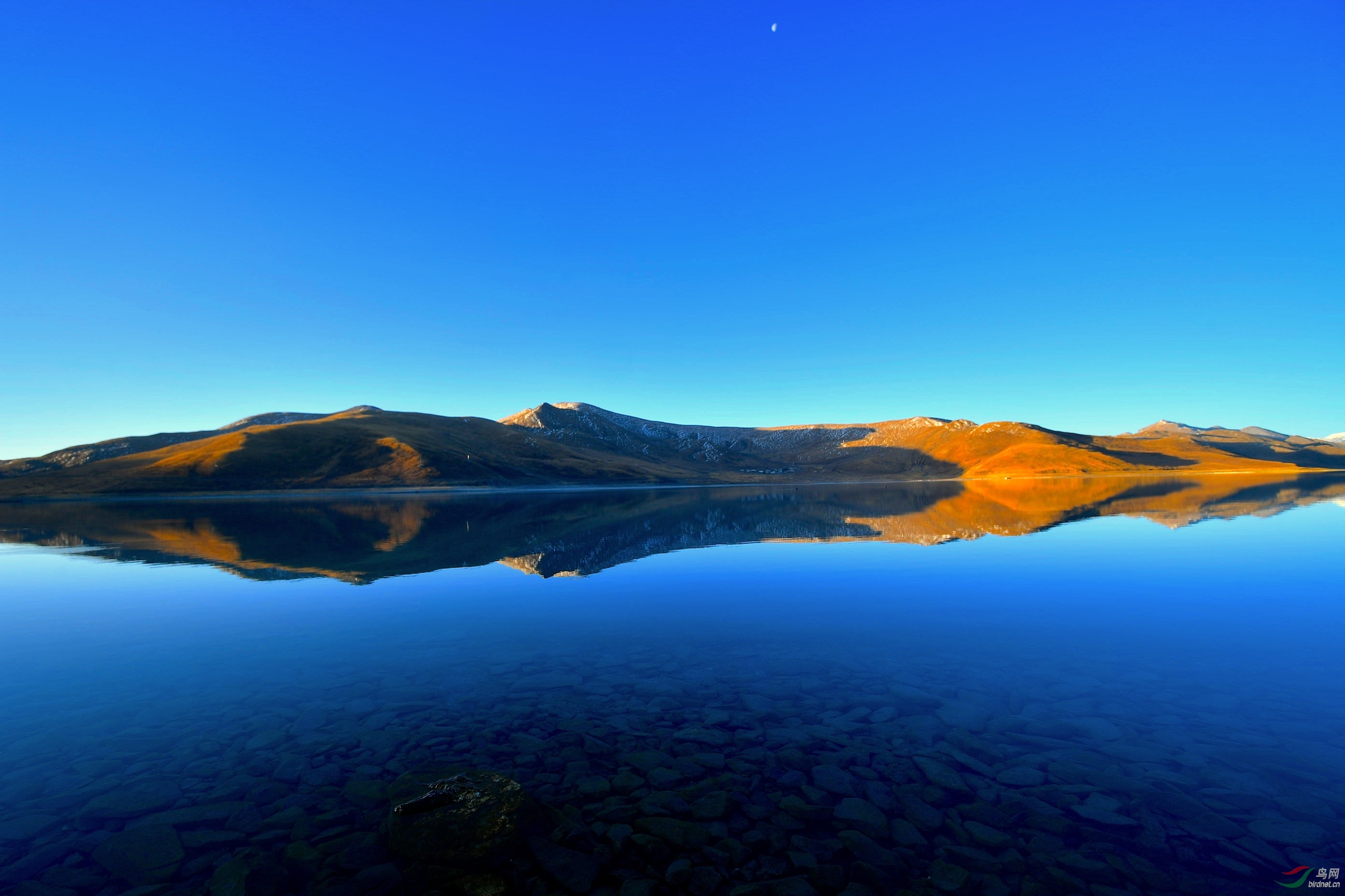 DSC_3805_����1.jpg