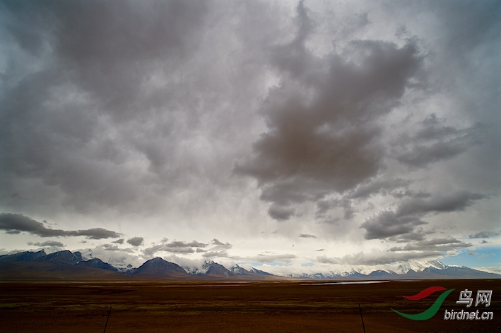 DOS_93791.jpg