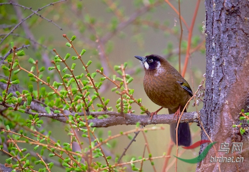 DOS_12681.jpg