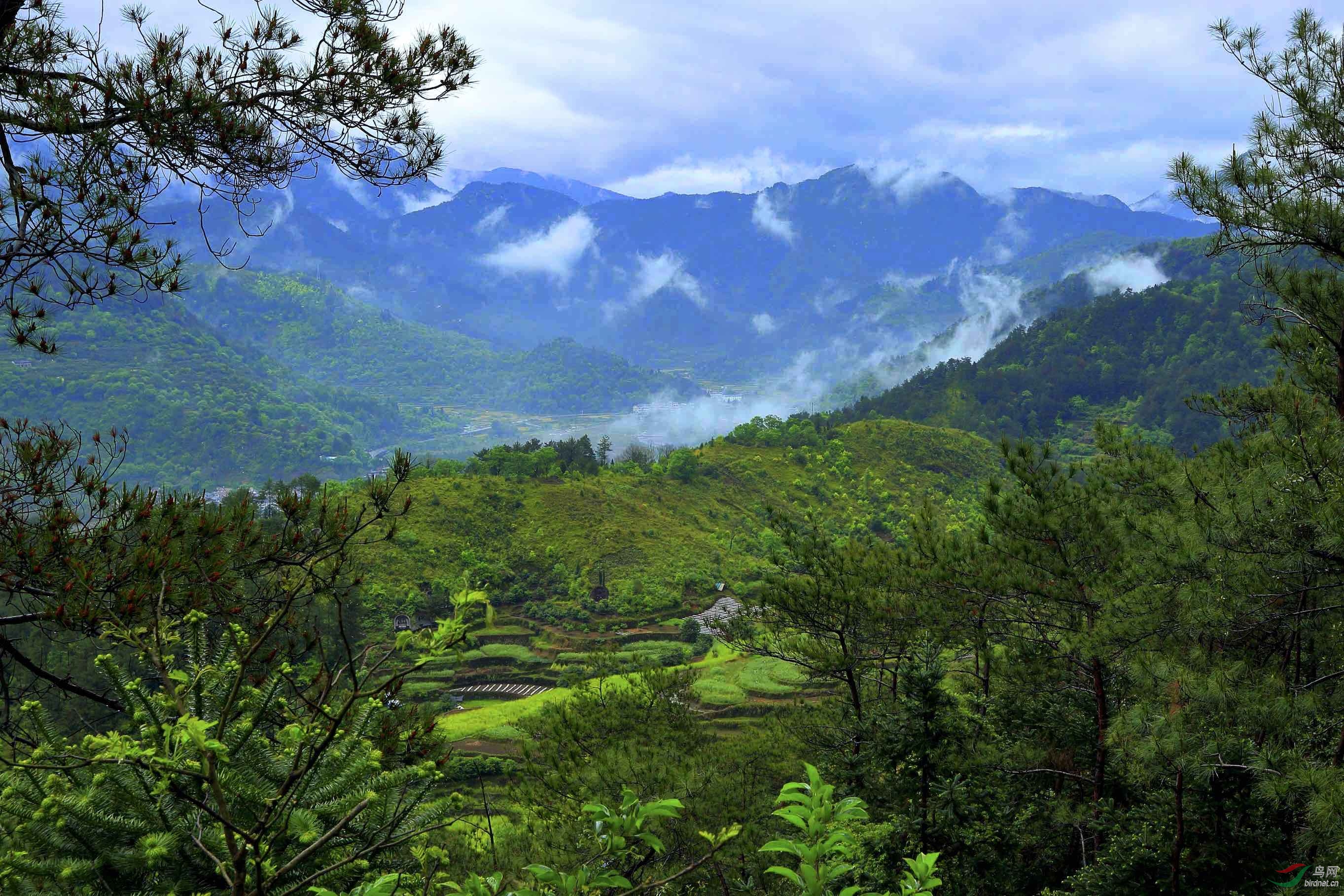 难忘的楠溪江边小镇鹤盛镇