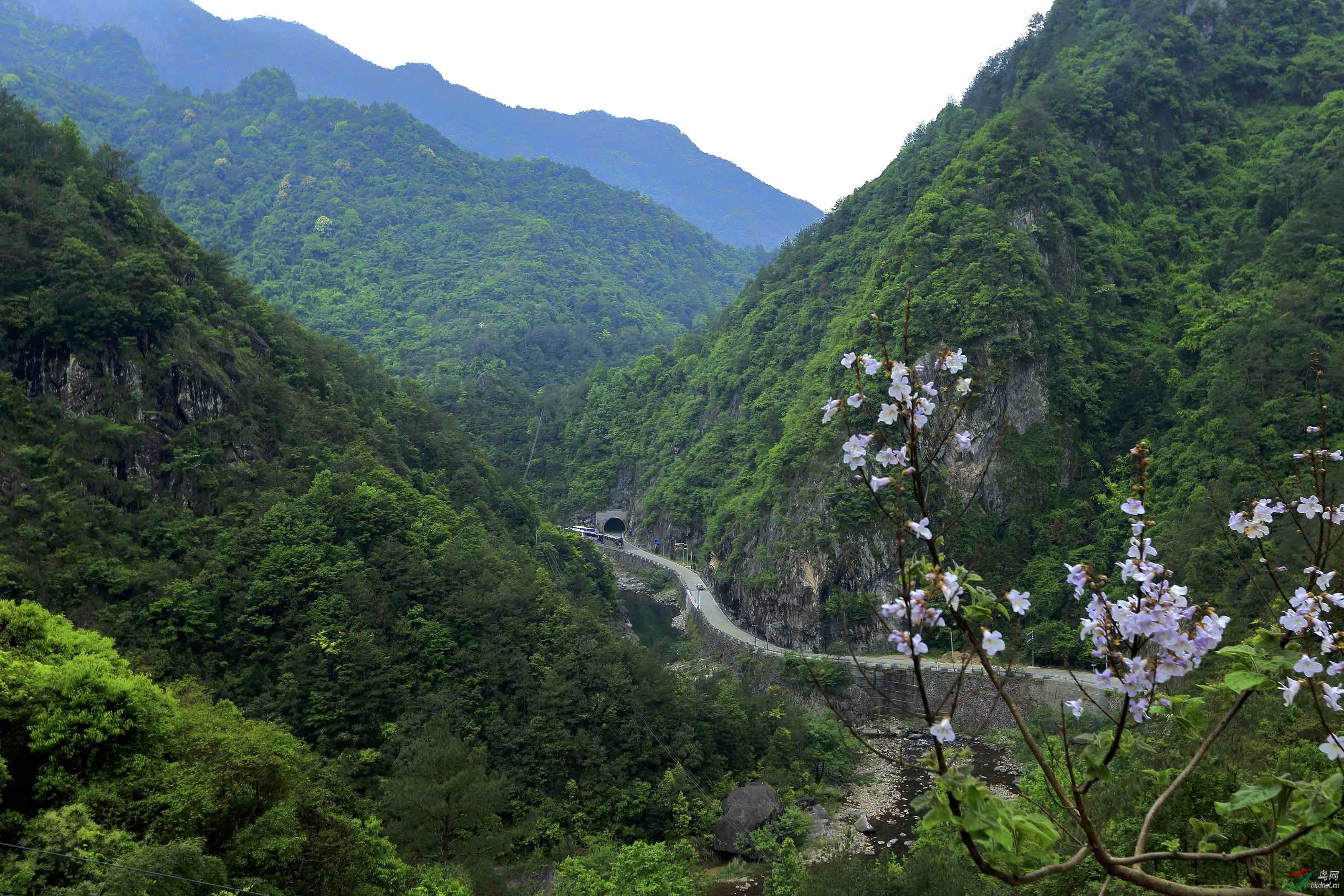 难忘的楠溪江边小镇-----鹤盛镇