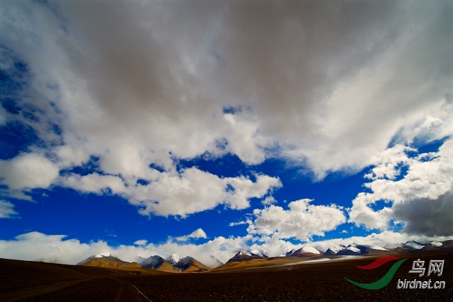 DSC_54471.jpg
