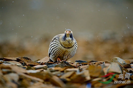 DOS_62761.jpg
