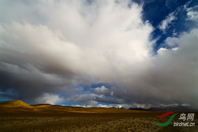DSC_54751.jpg