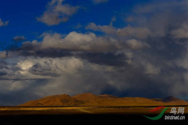 DSC_55481.jpg
