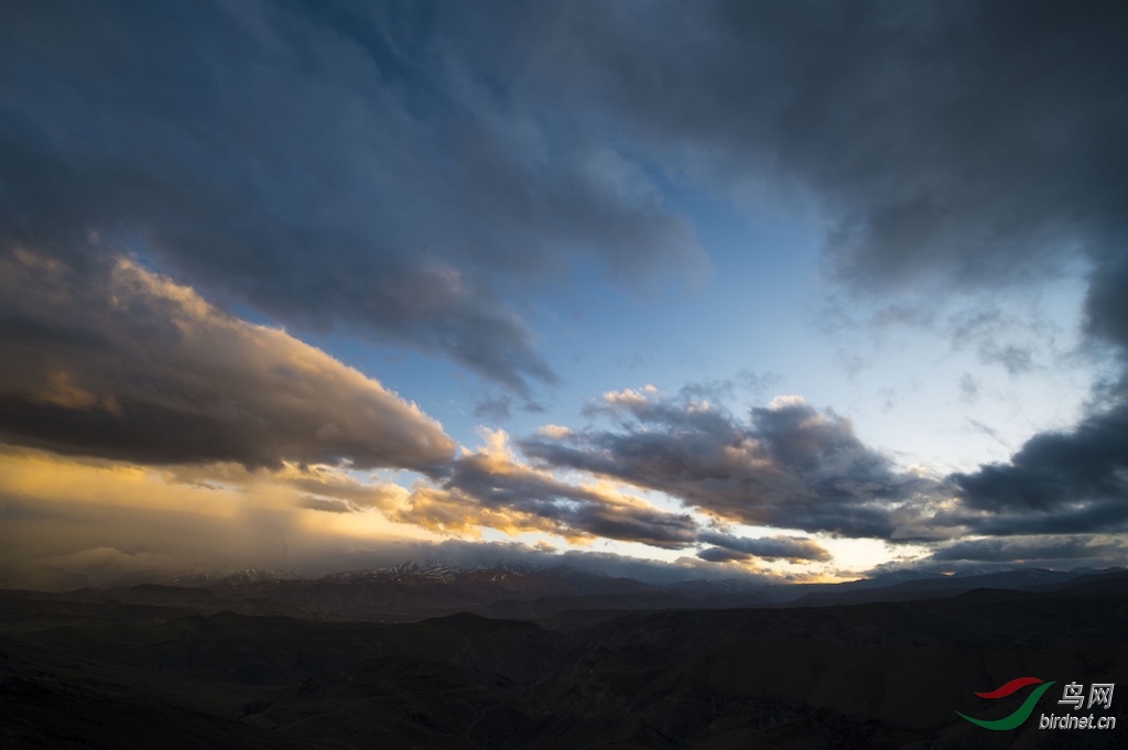 DOS_6980111.jpg