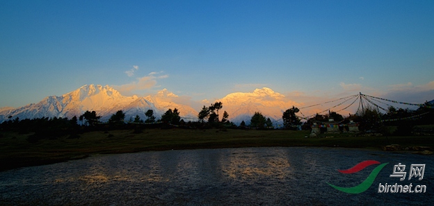 DOS_724611.jpg