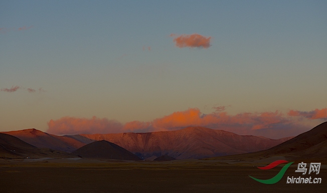 DSC_65051.jpg